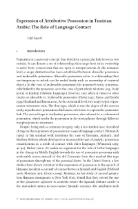Expression of Attributive Possession in Tunisian Arabic: the Role of Language Contact