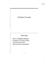 Software Process Overview