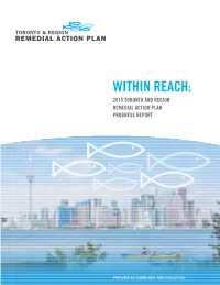 Within Reach: 2015 RAP Progress Report
