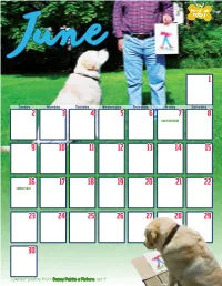 Calendar Photos from Danny Paints a Picture, Set 4 June 2019 Cut and Paste Activity Calendar Activity