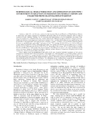 Morphological Characterization and Estimation of Genotype × Environment Interaction of Indigenous Buckwheat Germplasm Collected from Gilgit Baltistan Pakistan