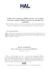 New Insights from the Complete TRIM Repertoire of Zebrafish and Pufferfish