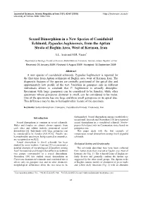 Sexual Dimorphism in a New Species of Cassiduloid Echinoid, Pygaulus Baghinensis, from the Aptian Strata of Baghin Area, West of Kerman, Iran