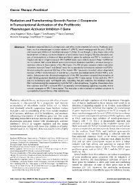 5956.Full.Pdf