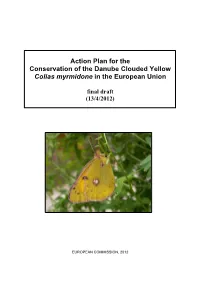 Action Plan for the Conservation of the Danube Clouded Yellow Colias Myrmidone in the European Union