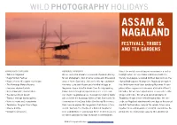 Assam & Nagaland