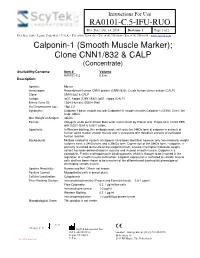 RA0101-C.5-IFU-RUO Calponin-1 (Smooth Muscle Marker); Clone