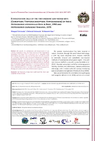 Echolocation Calls of the Two Endemic Leaf-Nosed Bats (Chiroptera: Yinpterochiroptera: Hipposideridae) of India
