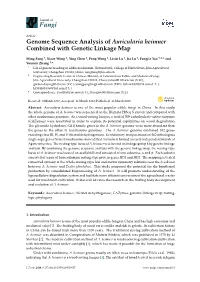 Genome Sequence Analysis of Auricularia Heimuer Combined with Genetic Linkage Map