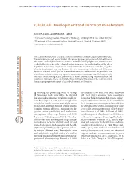 Glial Cell Development and Function in Zebrafish