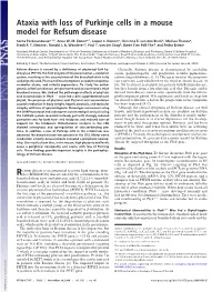 Ataxia with Loss of Purkinje Cells in a Mouse Model for Refsum Disease