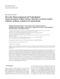 Diversity, Physicochemical and Technological Characterization of Elite Cassava (Manihot Esculenta Crantz) Cultivars of Bantè, a District of Central Benin