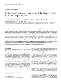 Evidence of a Tonotopic Organization of the Auditory Cortex in Cochlear Implant Users