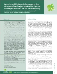 Genetic and Biological Characterization of Macrophomina Phaseolina (Tassi) Goid