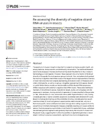 Re-Assessing the Diversity of Negative Strand RNA Viruses in Insects