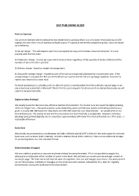 Self Publishing Guide