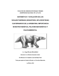 Xenarthra, Mylodontidae)
