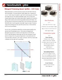 Wiregrid Polarizing Beam Splitter – ICE Cube