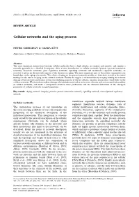 Cellular Networks and the Aging Process