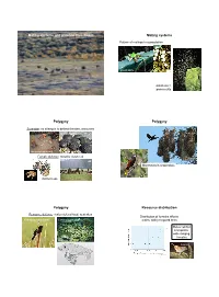 Mating Systems and Parental Investment Mating Systems