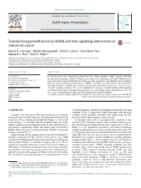 Transforming Growth Factor-Β, MAPK and Wnt Signaling Interactions In