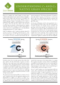 Understanding C3 and C4 Native Grass Species