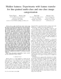 Experiments with Feature Transfer for Fine-Grained Multi-Class and One-Class Image Categorization