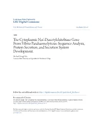 Diacetylchitobiase Gene from Vibrio Parahaemolyticus: Sequence Analysis, Protein Secretion, and Secretion System Development