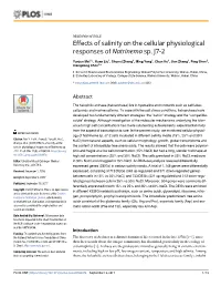 Effects of Salinity on the Cellular Physiological Responses of Natrinema Sp