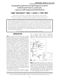 Geographic Patterns of Morphological Variation in the Lizard Podarcis Carbonelli, a Species with Fragmented Distribution