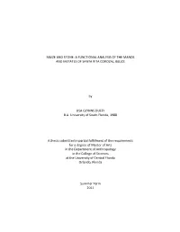 Maize and Stone: a Functional Analysis of the Manos and Metates of Santa Rita Corozal, Belize
