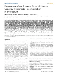 Origination of an X-Linked Testes Chimeric Gene by Illegitimate Recombination in Drosophila