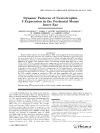 Dynamic Patterns of Neurotrophin 3 Expression in the Postnatal Mouse Inner Ear