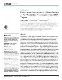 Evolutionary Conservation and Diversification of Puf RNA Binding Proteins and Their Mrna Targets