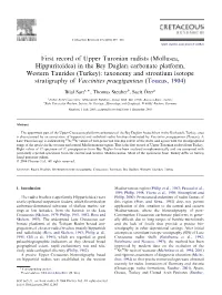 First Record of Upper Turonian Rudists (Mollusca, Hippuritoidea) in the Bey