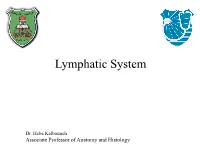 Lymphatic System