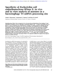 Specificity of Escherichia Coli Endoribonuclease Rnase E: in Vivo and in Vitro Analysis of Mutants in a Bacteriophage T4 Mrna Processing Site