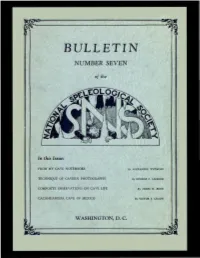 Bulletin Number Seven