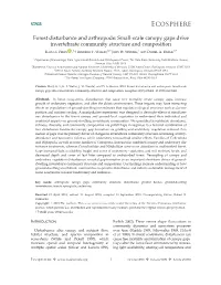 Forest Disturbance and Arthropods: Small‐Scale Canopy Gaps Drive
