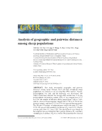 Analysis of Geographic and Pairwise Distances Among Sheep Populations