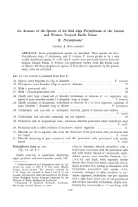 II. Polysipbonia