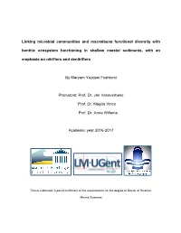 Linking Microbial Communities and Macrofauna Functional Diversity With
