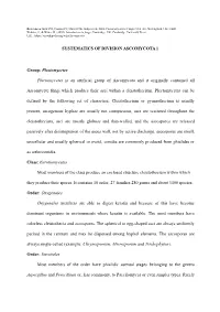 SYSTEMATICS of DIVISION ASCOMYCOTA 1 Group