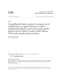 Using Elliptical Fourier Analysis to Compare Size of Morphospace