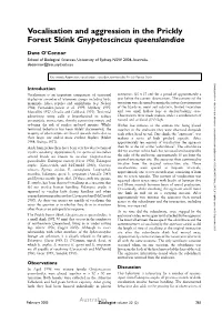 Vocalisation and Aggression in the Prickly Forest Skink Gnypetoscincus Queenslandiae
