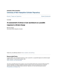 An Assessment of Stress in Acer Saccharum As a Possible Response to Climate Change