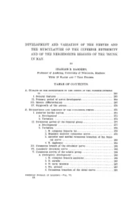 Development and Variation of the Nerves and the Musculature of The