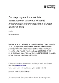 Cocoa Procyanidins Modulate Transcriptional Pathways Linked to Inflammation and Metabolism in Human Dendritic Cells
