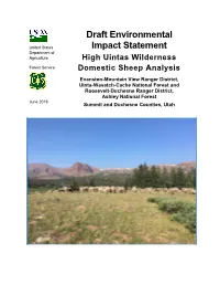 Draft Environmental Impact Statement-High Uintas Wilderness