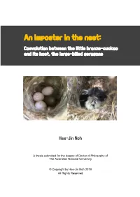An Imposter in the Nest